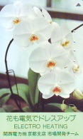 Télécarte  Japan Fleur ORCHID (3718)  Orchidée Orquídea Orchidee Flower - Fleurs