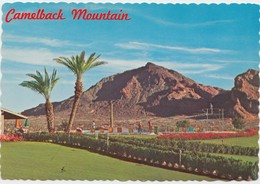 Camelback Mountain, Near Scottsdale, Arizona, Unused Postcard [20879] - Scottsdale