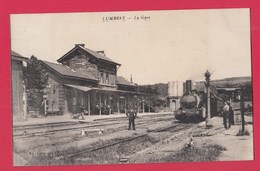 62 LUMBRES La Gare - Lumbres