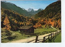 U1730 Cartolina Trentino: Martelltal, Vinschgau, Ortlergruppe - Val Martello, Ortles, Val Venosta _  DIETER DRESCHER 272 - Andere Städte