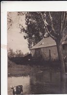 Photo 1918 LOSNIGOW (Loshniv ? Trembowla District, Trembowli, Ternopil Oblast) - Ansicht (A187, Ww1, Wk 1) - Ukraine