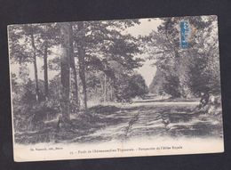 CPA - 28 - FORET DE CHATEAUNEUF EN THYMERAIS - PERSPECTIVE DE L ALLEE ROYALE - Châteauneuf