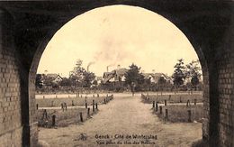 Genck - Cité De Winterslag - Vue Prise Du Clos-des-Rosiers (1923) - Genk