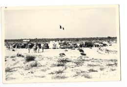 LES MATHES (17) Carte Photo Plage Du Clapet Parcage Des Voitures - Les Mathes