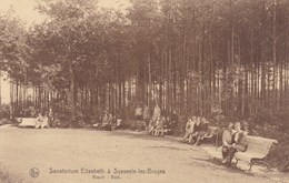 Sijsele, Sanatorium Elisabeth A Sysseele Lez Bruges, Bosch (pk42427) - Damme