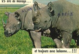 RHINOCEROS  Postcard Used    ( Z 1059 ) - Rhinoceros