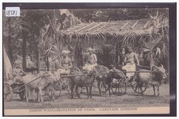 PARIS - CARAVANE INDIENNE AU JARDIN D'ACCLIMATATION - TB - Azië