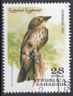 Saharaui 1997 Birds Uccelli : Pigliamosche Comune -  Muscicapa Striata - Nuovo CTO - Sparrows