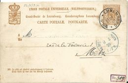 Carte Correspondance - Entier Postal - Korrespondezkarte - Stationery - No. 32 Luxembourg à Metz 1879 - Servizio