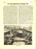 Das Neue Aquarium Im Berliner Zoo  / Artikel, Entnommen Aus Zeitschrift / 1913 - Empaques