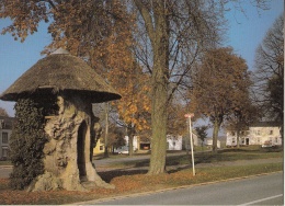 Gerouville - Orme Planté En 1258 "Le Vieux Tilleul" - Meix-devant-Virton