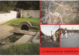 Gerpinnes - Fontaine St Rolende - Panorama - Av Albert Ier - Les Marcheurs - Gerpinnes