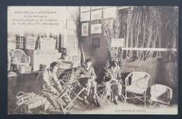 CPA Carte Postale Semaine De L'artisanat - Ecole Nationale D'osiericulture Et De De Vannerie De FAYL-BILLOT - Fayl-Billot