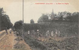 Fauverney     21        La Butte De L'église. Travail Dans La Vigne                     ( Voir Scan) - Otros & Sin Clasificación