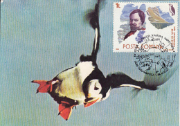 ARCTIC WILDLIFE, ATLANTIC PUFFIN, CM, MAXICARD, CARTES MAXIMUM, 1990, ROMANIA - Fauna Artica