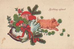 CPA MUSHROOMS, CLOVER, FLOWERS, PIG, NEW YEAR GREETINGS - Paddestoelen