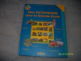 Lot De 3 Dictionnaires - Dictionaries