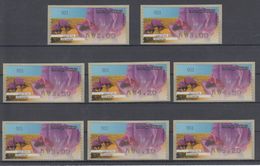 ISRAEL 2013 KLUSSENDORF ATM FLOWER NEGEV IRIS FULL SET OF 8 STAMPS - Viñetas De Franqueo (Frama)