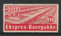 DENMARK Dänemark Railway Stamp Eisenbahn Express O - Colis Postaux