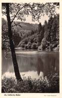 Am Sohlbacher Weiher - Siegen