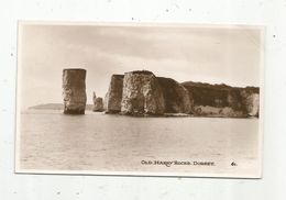 Cp , Angleterre , DORSET , Old HARRY Rock , écrite - Other & Unclassified