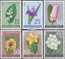 Jugoslawien 1034-1039 (kompl.Ausg.) Postfrisch 1963 Jugoslawische Flora - Neufs