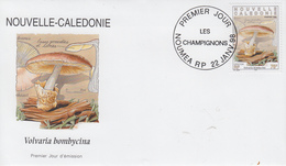 Enveloppe  FDC  1er  Jour   NOUVELLE  CALEDONIE   Champignons   1998 - FDC