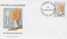 Enveloppe  FDC  1er  Jour   NOUVELLE  CALEDONIE   Champignons   1998 - FDC