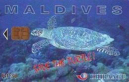 Télécarte MALDIVES * TURTLE  (2230) PHONECARD  *  * TORTUE *  TELEFONKARTE * SCHILDKRÖTE - Schildpadden