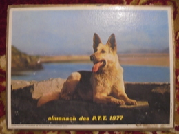 Ancien - Calendrier Almanach Des P.T.T. 1977 - Grand Format : 1971-80