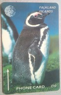 184CFKB 10 Pounds Penguin - Falklandeilanden