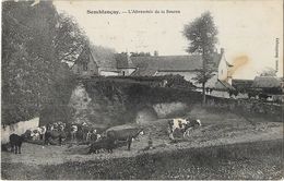 Semblançay - L'Abreuvoir De La Source - Semblançay