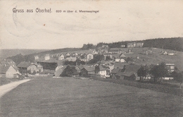 Gruss Aus Oberhof I.Thür.-Bahnpoststempel-ERFURT-RITSCHENHAUSEN. - Oberhof