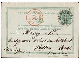 124 BELGICA. 1876-1909. Nineteen Postal Stationery Cards To USA. - Andere & Zonder Classificatie