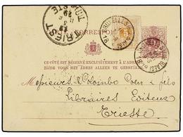 128 BELGICA. Of.28. 1879. BRUXELLES To TRIESTE (Austria). <B>5 Cts.</B> Lilac Postal Stationery Card Uprated With <B>5 C - Autres & Non Classés