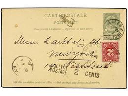 245 BELGICA. 1899. BRUXELLES To NEW YORK. <B>5 Cts.</B> Green Postal Stationery Card Taxed On Arrival With USA <B>2 Cts. - Andere & Zonder Classificatie