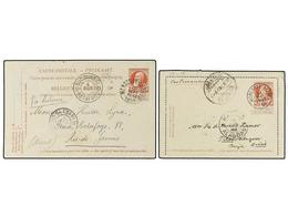 294 BELGICA. 1905-06. TWO Postal Stationery Cards To BRAZIL. - Autres & Non Classés