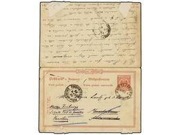 336 BRASIL. 1895. GERMANY To RIO DE JANEIRO. Double <B>10 Pf. + 10 Pf.</B> Postal Stationary Send Round Trip. Rare Compl - Andere & Zonder Classificatie