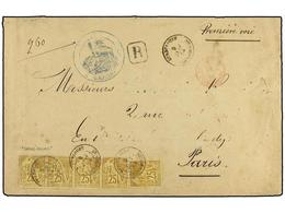 586 GUADALUPE. 1884 (Jan 9). Registered Cover To PARIS (part Of Address Neatly Erased), Franked By General Issues 1881 D - Autres & Non Classés