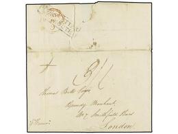 800 MAURICIO. 1838. PORT LOUIS To MAURITIUS. Entire Letter, Endorsed <I>'p. Marrion'</I>. On Reverse <B>INDIA LETTER/PLY - Other & Unclassified