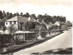 Tinlot - CPA - Seny En Condroz - Route De Fraiture - Tinlot