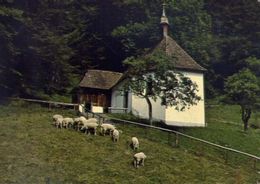 Fiueli Renft - Zelle Mit Kapelle Des Hl - Bruder Klaus - Formato Grande Viaggiata – E 4 - Zell