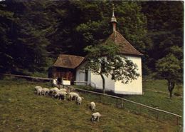 Flueli - Ranft - Zelle Mit Kapelle Des Hl - Bruder Klaus -388 - Formato Grande Viaggiata – E 4 - Zell