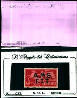 85841) TRIESTE - ESPRESSO- AMG-FTT  - SU 2 RIGHE- 60 LIRE N.4- -MLH* - Poste Exprèsse