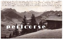 SUISSE  Vue Générale Sur Le Gstaad Le Wildhorn - Gstaad