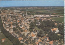 CPSM Grand Format 44 Loire Atlantique - BASSE INDRE - Vue Générale - Basse-Indre