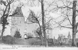 ¤¤   -  LES TROIS-MOUTIERS   -   Chateau De Berrie    -  ¤¤ - Les Trois Moutiers