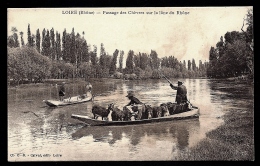 CPA ANCIENNE FRANCE- LOIRE-SUR-RHÔNE (69)- PASSAGE DES CHEVRE EN BAC SUR LA LÔNE- TRES GROS PLAN - Loire Sur Rhone