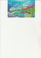 NOUVELLE - CALEDONIE - BLOC FEUILLET N° 35 NEUF XX - FAUNE-POISSONS - ANNEE 2005 - Vissen