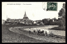 CPA ANCIENNE FRANCE- SAVIGNY-LE-TEMPLE (77)- LABOURAGE AU BRABAN AVEC 2 PAIRES DE BOEUFS  GROS PLAN + VUE GENERALE- - Savigny Le Temple